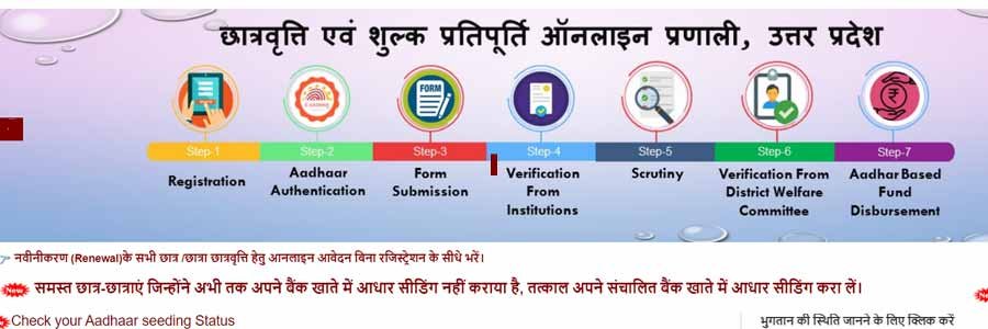 UP Scholarship
